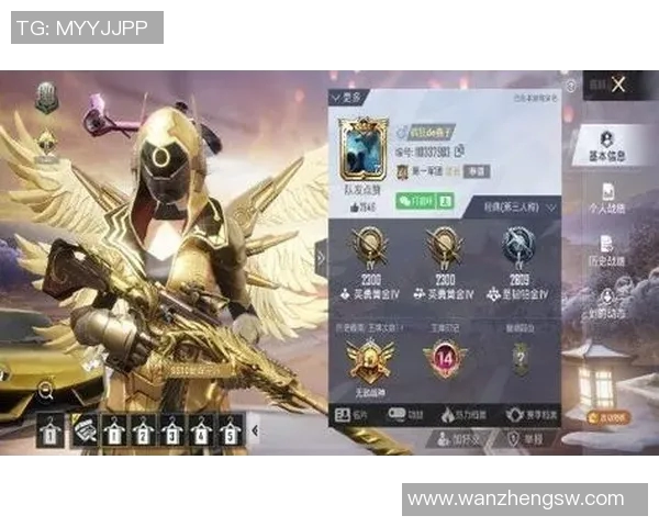 和平精英深度解析：BLG团队协作的成功秘诀与战术运用